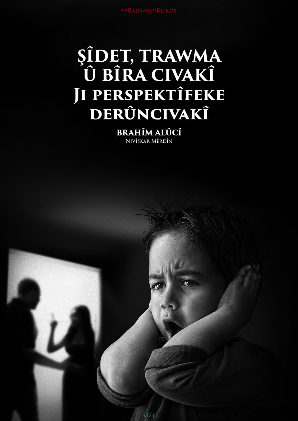 Şîdet, Trawma Û Bîra Civakî
